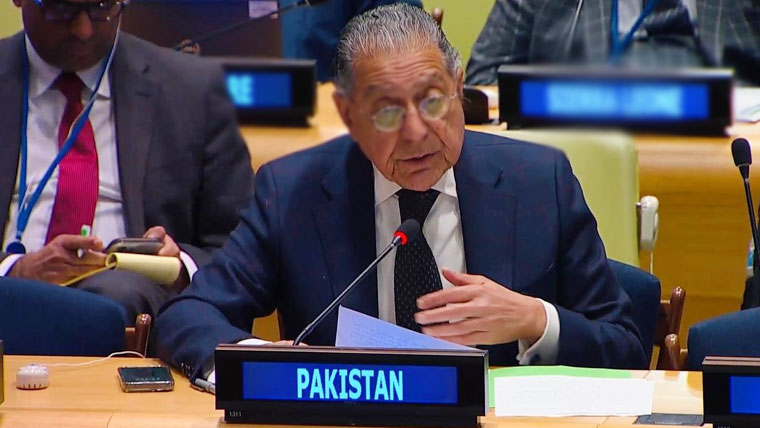 کالعدم ٹی ٹی پی دہشت گرد تنظیموں کیلئے چھتری کا کام کر رہی ہے: منیر اکرم