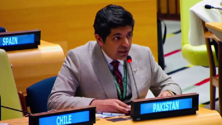 علاقائی حریف کی سرپرستی میں دہشت گردی کا سامنا ہے: پاکستانی قونصلر جواد اجمل