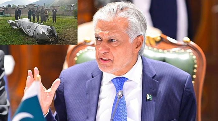 پاکستان نے بھارت کے 3 کے بجائے4 رافیل طیارے گرائے، اسحاق ڈار