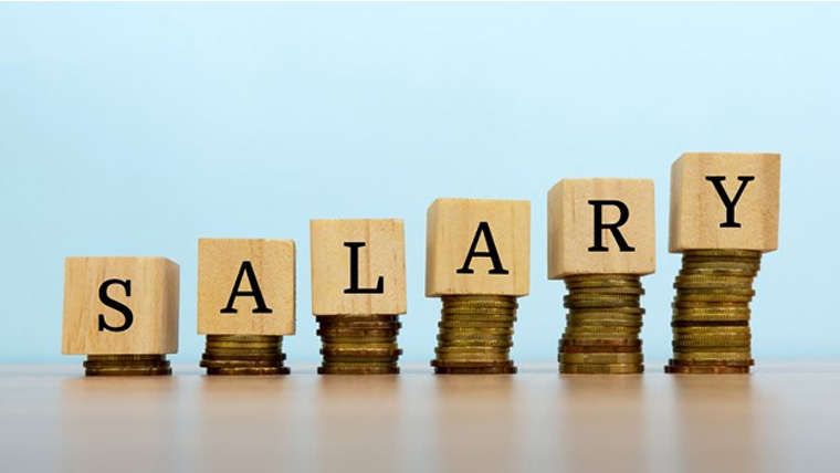 وفاقی بجٹ 26-2025: تنخواہوں میں اضافے کیلئے 4 تجاویز تیار