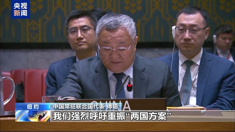 چینی مندوب نے غزہ میں فوری اور دیرپا جنگ بندی پر زور دیا
