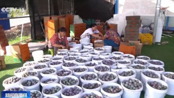 جولائی میں چائنا کا ای کامرس لاجسٹک انڈیکس سال کی ریکارڈ بلند سطح تک پہنچ گیا