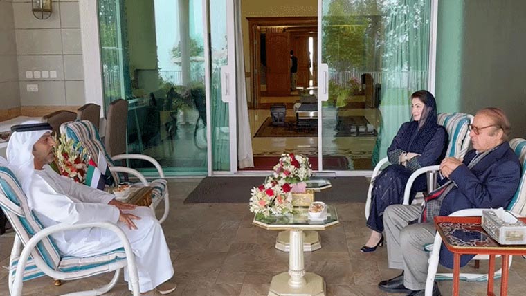 نواز شریف، مریم سے یو اے ای کے سفیر کی ملاقات، دوطرفہ تعاون کو فروغ دینے پر اتفاق
