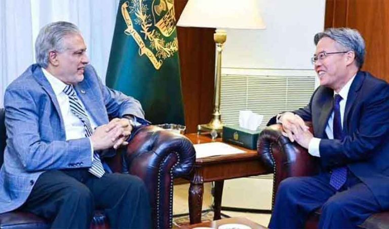 نائب وزیراعظم سے چینی سفیر کی ملاقات، اہم امور پر تبادلہ خیال