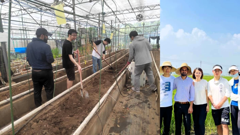 پاک چین محققین نے فصلوں کو گرمی سے بچانے کیلئے اسمارٹ آبپاشی نظام تیار کر لیا