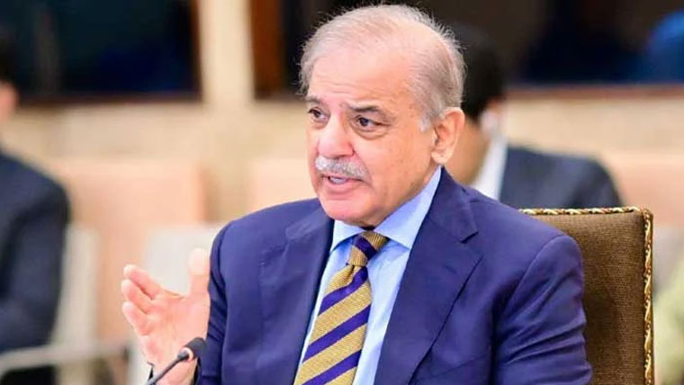 زمین کا تحفظ ہم سب کی مشترکہ اور کلیدی ذمہ داری ہے: وزیراعظم