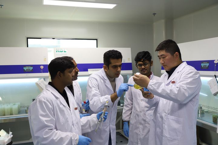 چین کی پہاڑی کاشت کاری کی مہارت پاکستان میں خوشحالی کے بیج بونے لگی