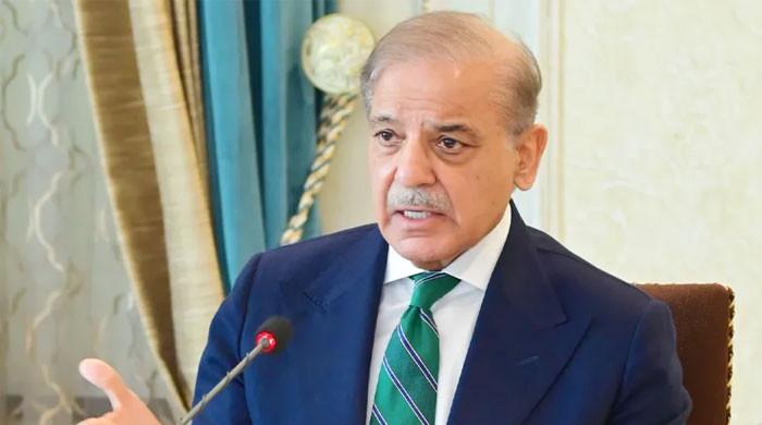 پیٹرولیم لیوی کا معاملہ آئی ایم ایف کیساتھ اٹھایا جائے، وزیراعظم کی وزارت خزانہ کو ہدایت