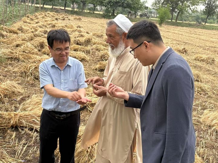 تل کے بیجوں سے مویشیوں تک، چین اور پاکستان کا زرعی تعاون مزید گہرا