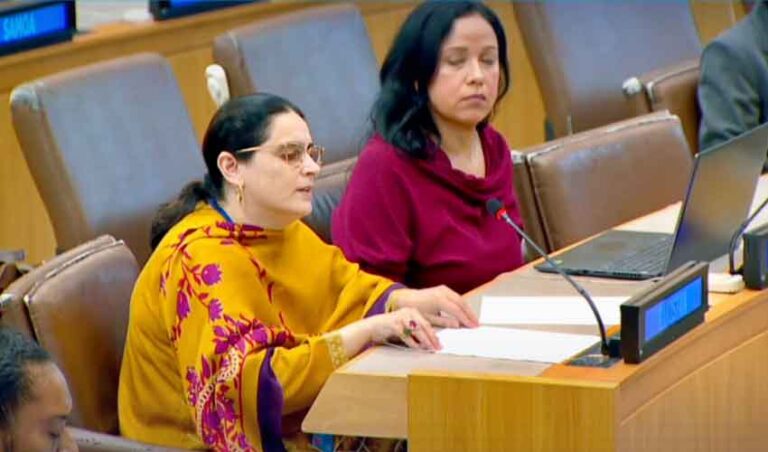 بھارت بیرونِ ملک دہشت گردی برآمد کرتا ہے،صائمہ سلیم