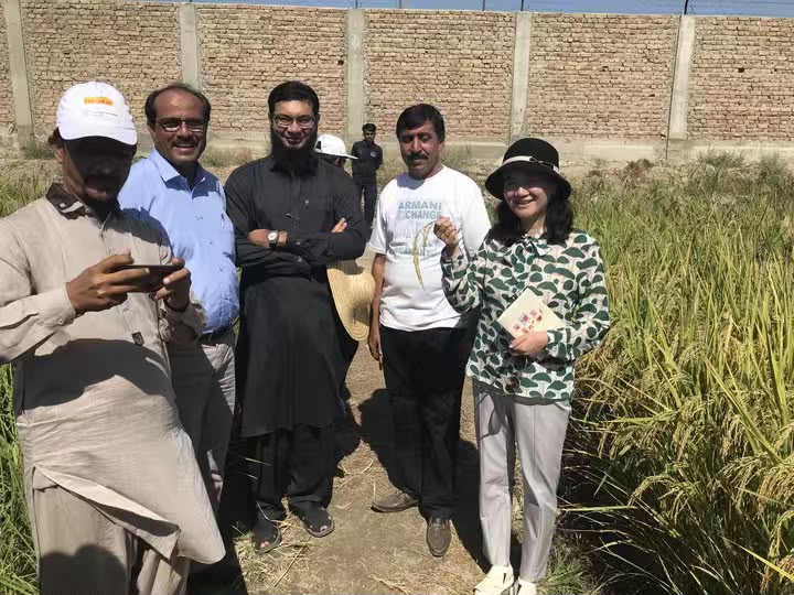 سی پیک کہانیاں|ایک بیج، مشترکہ فصل: چین پاکستان زرعی تعاون کے ثمرات سامنے آنے لگے